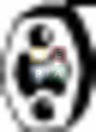 Imagine articol