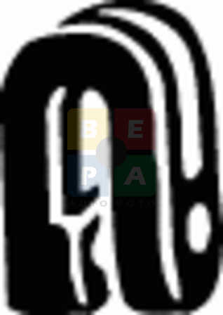 Imagine articol